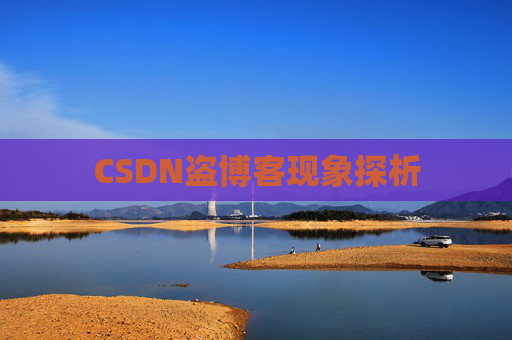 CSDN盗博客现象探析 CSDN盗博客现象探析